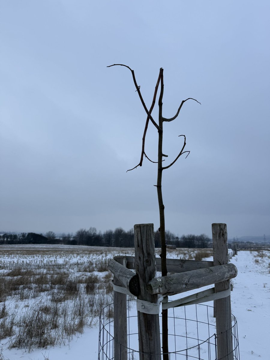 Tomáš Kubín 🇨🇿 tweet media