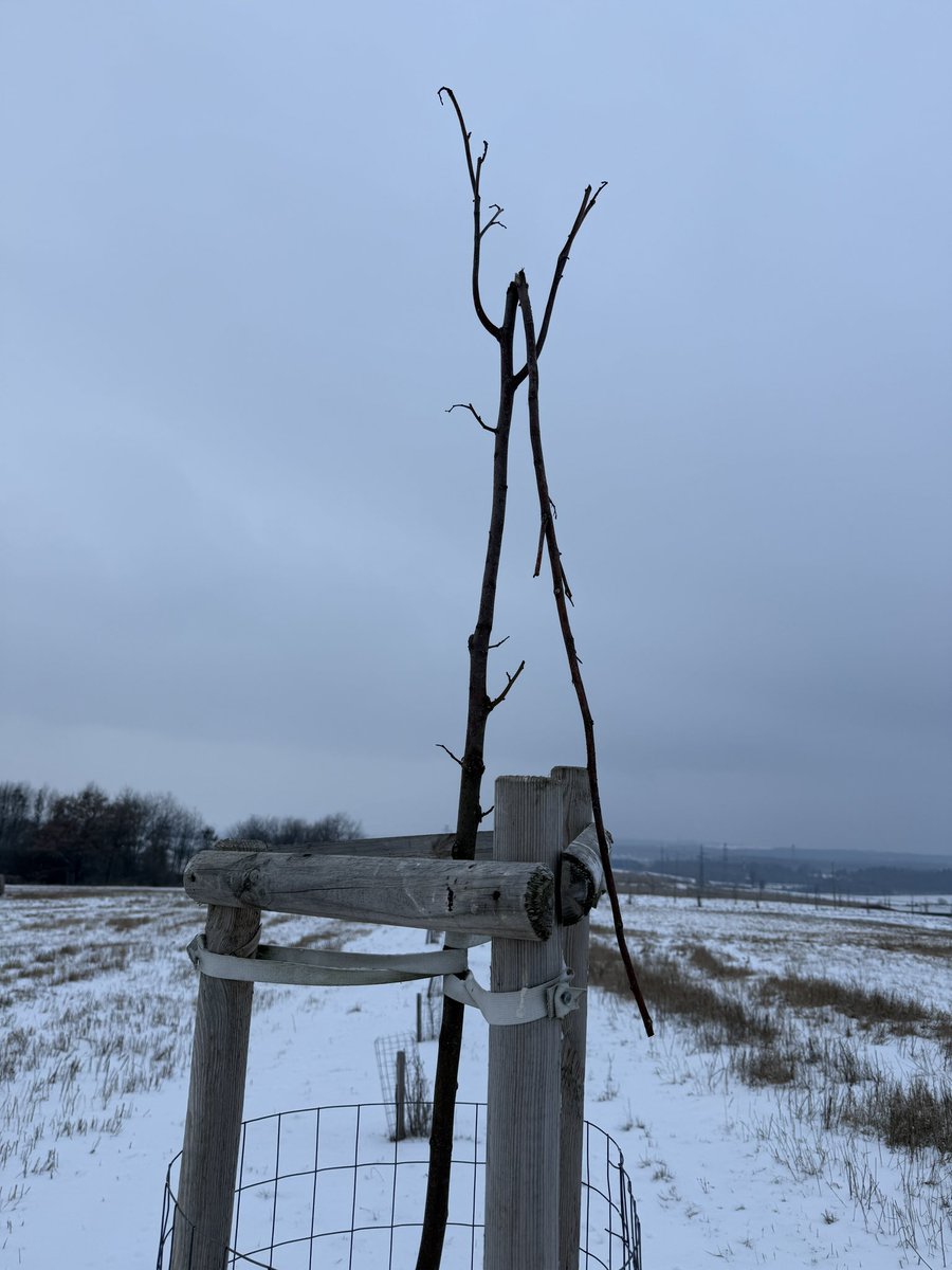 Tomáš Kubín 🇨🇿 tweet media