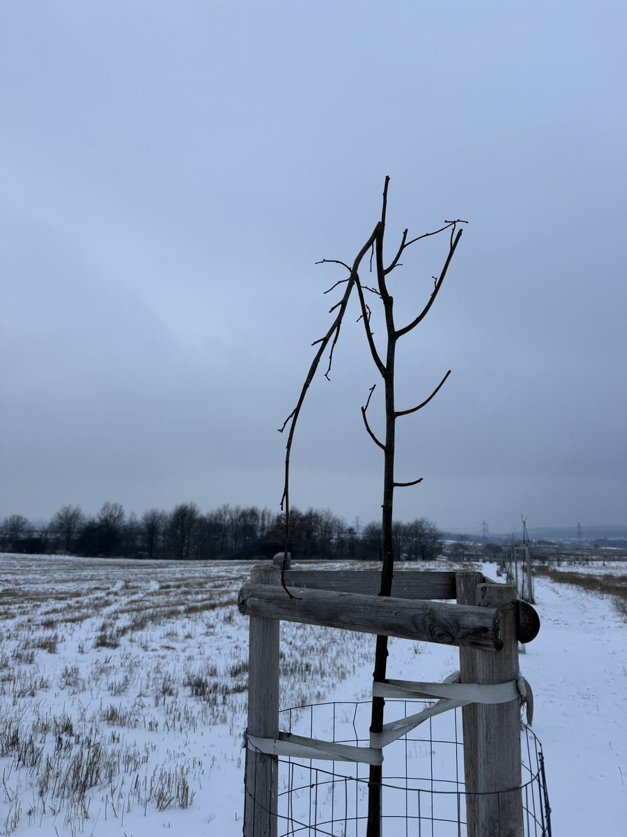 Tomáš Kubín 🇨🇿 tweet media