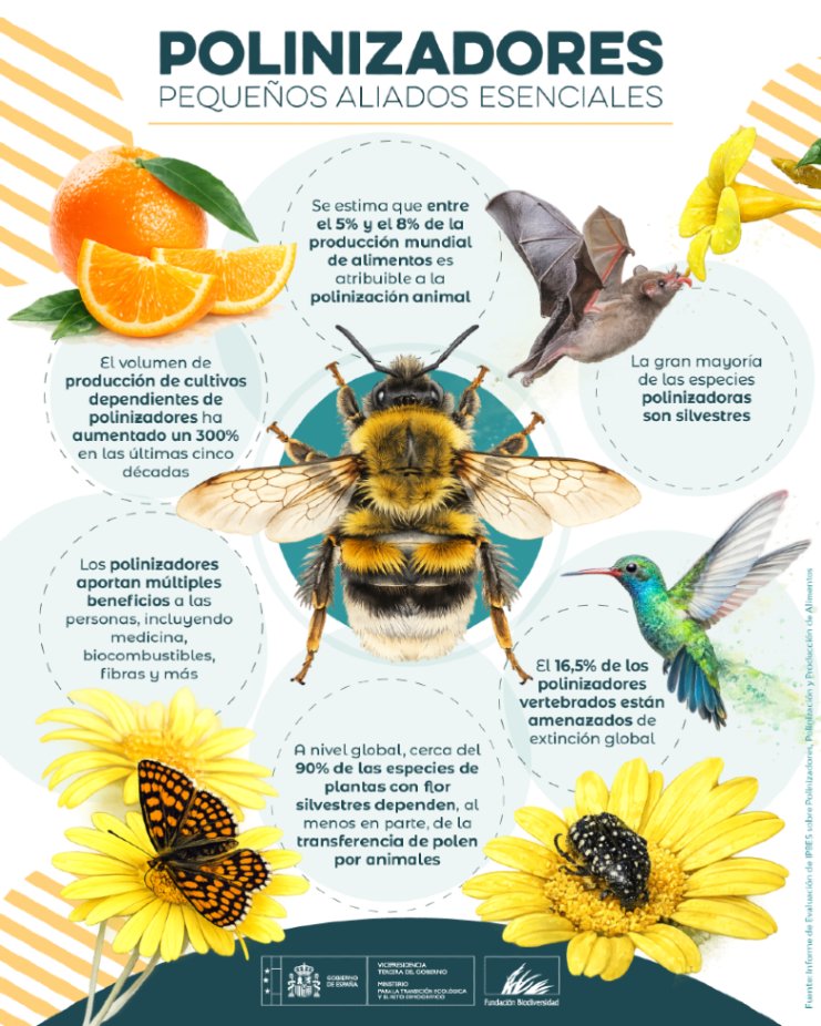 Fundación Biodiversidad tweet media