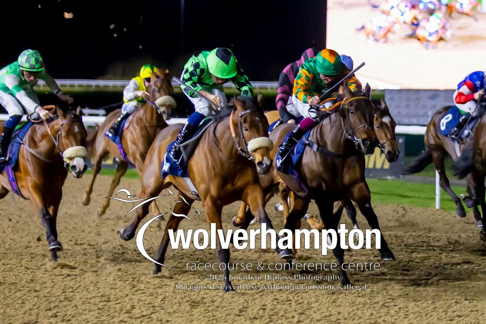 Wolverhampton Races tweet media