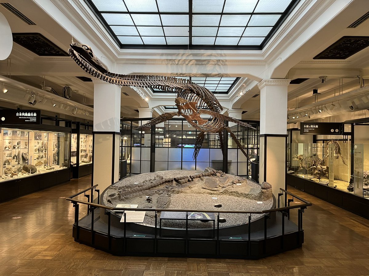 マシュマー・テロ tweet media