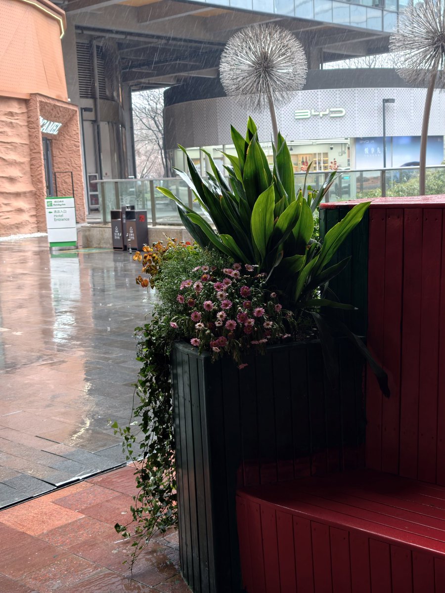 蛋仔的秘密花园 tweet media