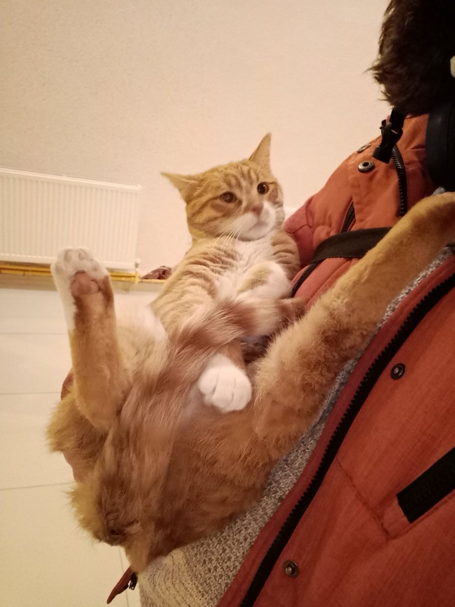 kılavatlı Paris tweet media