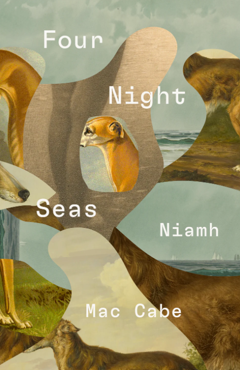artscouncil_ie's tweet image. 📚 #ReadwithAC

Set across liminal landscapes, 'Four Night Seas' is a collection of stories from #Bursary recipient Niamh Mac Cabe exploring themes of memory, solitude and loss.

Published by #ArtsCouncilSupported @LilliputPress 

Find out more: lilliputpress.ie/products/four-…