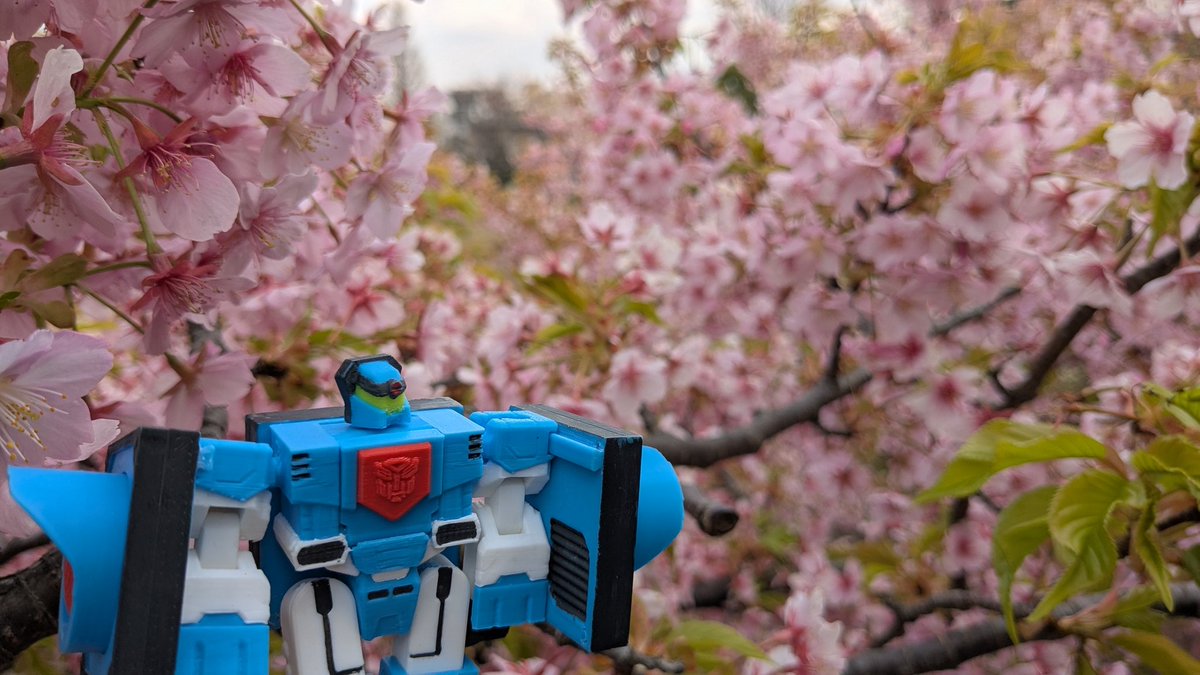 Funbie Studios tweet media