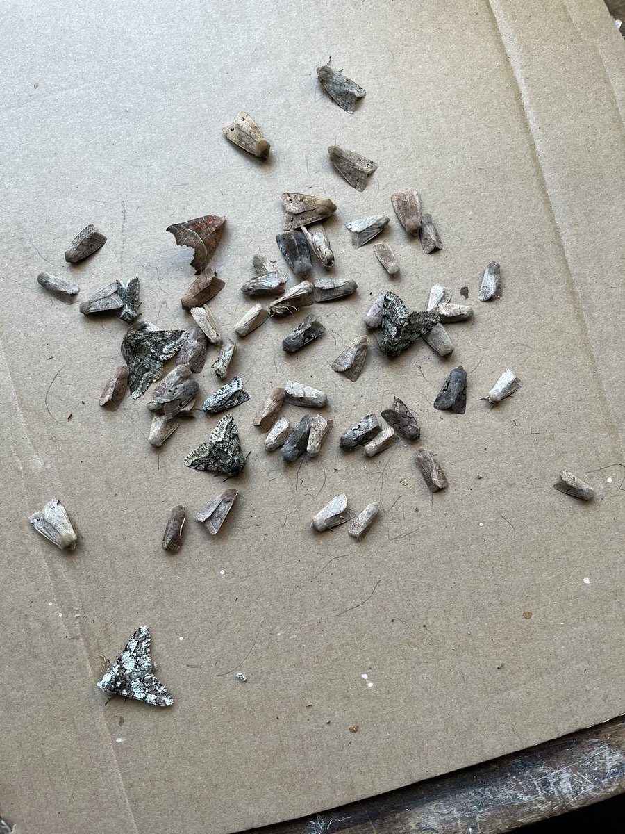 Andrew C Sims tweet media