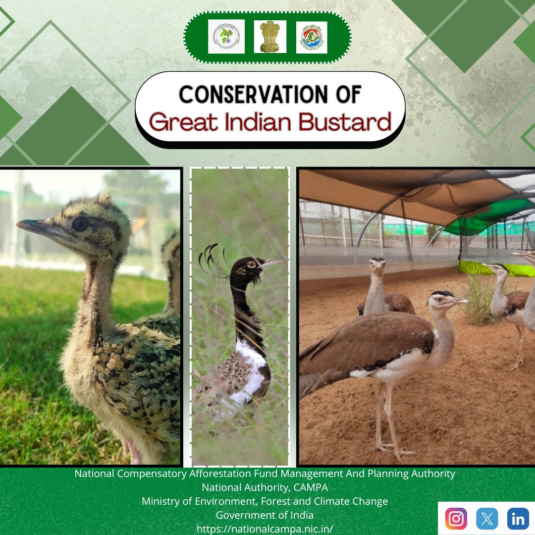 National Authority, CAMPA, MoEF&CC, GoI tweet media