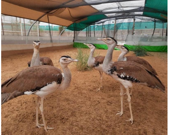 National Authority, CAMPA, MoEF&CC, GoI tweet media