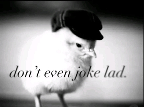 The Crew Motorfest tweet media