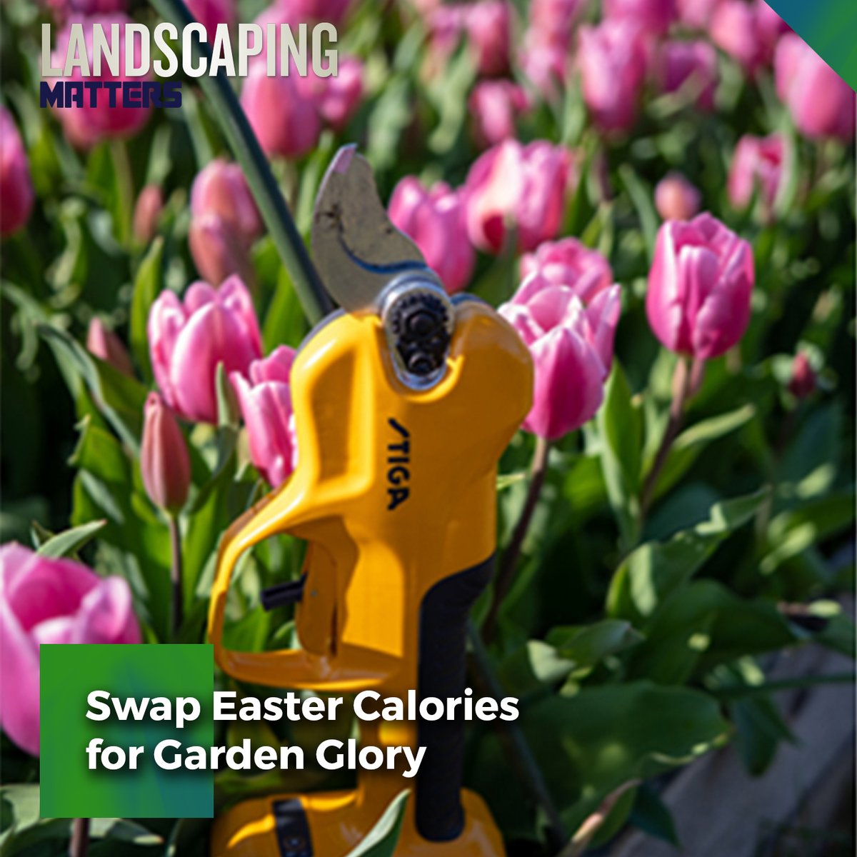 Landscaping Matters tweet media