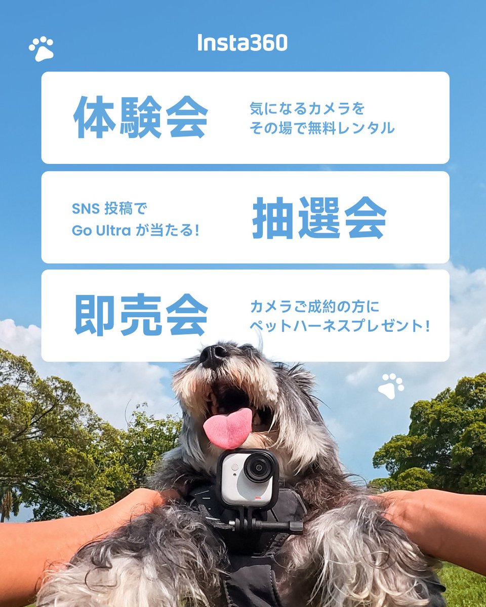 Insta360 Japan tweet media