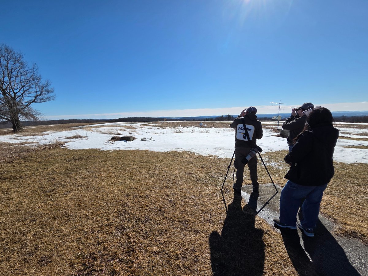 Taiwan Wild Bird Federation (中華鳥會) tweet media