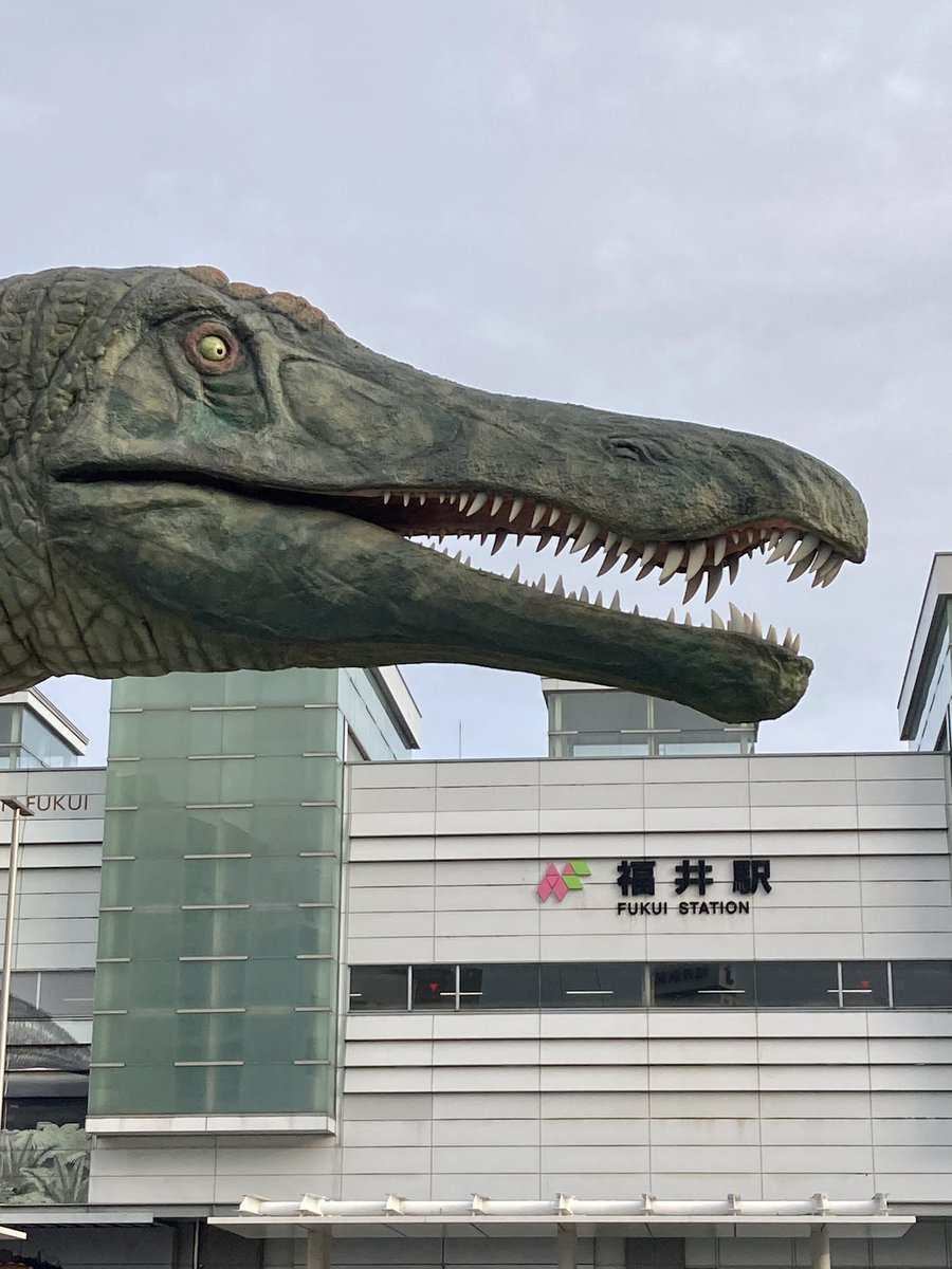 大道芸人ガンピー tweet media