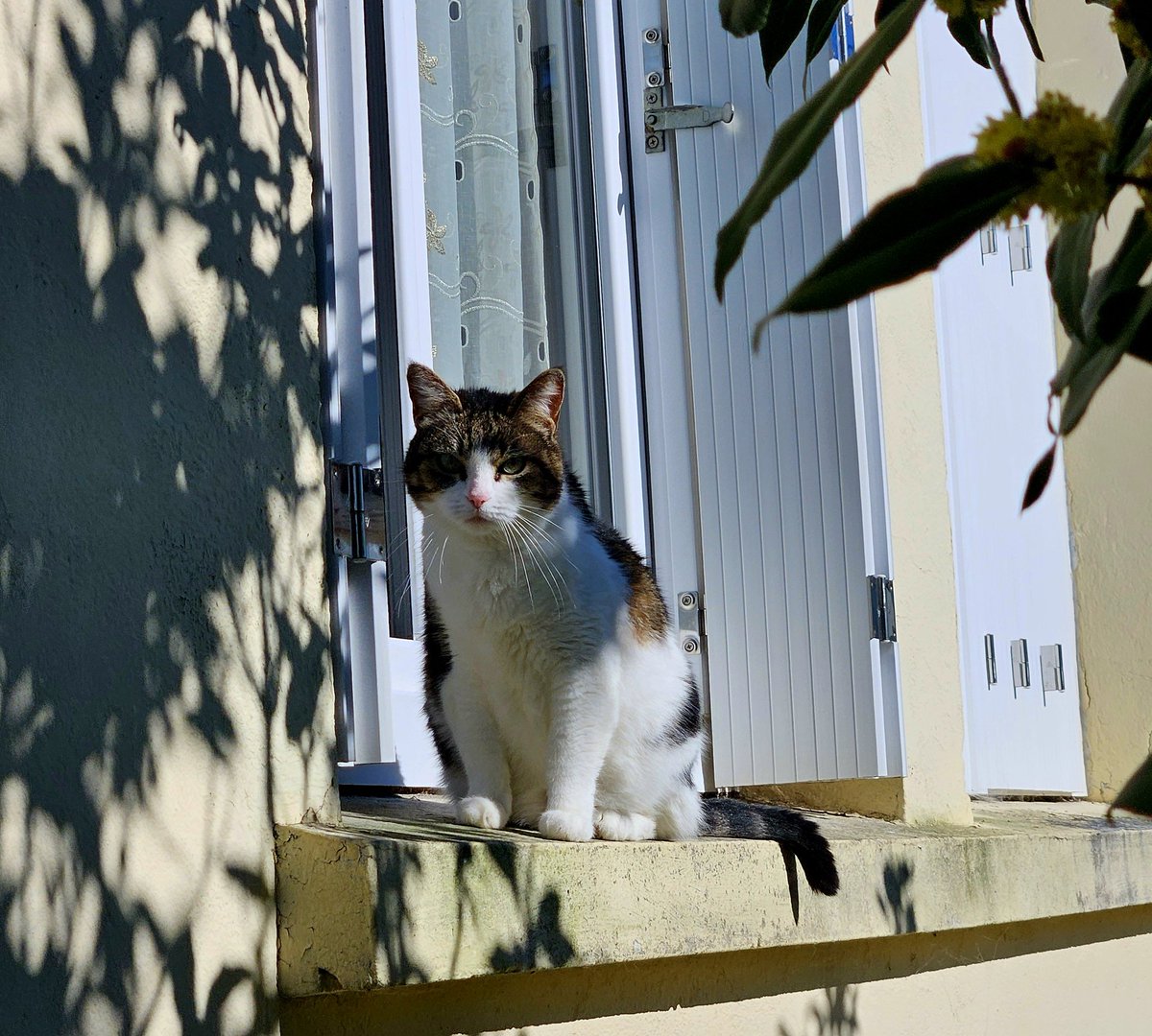 Erwan Courseaux tweet media