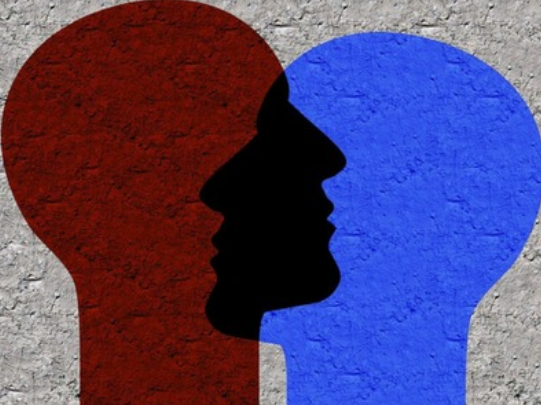 David Webb tweet media