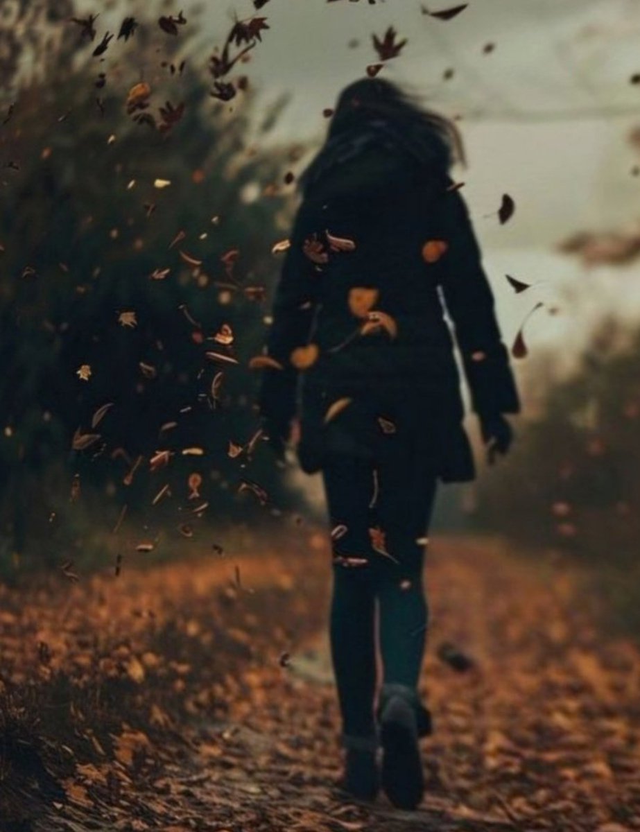 Anima🌹 tweet media