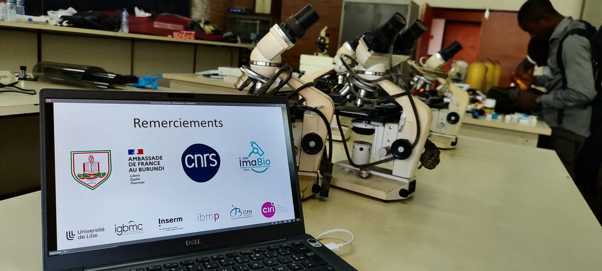 GDR_ImaBio's tweet image. 🔬As part of the “Microscopie Solidaire” project, the ImaBio community, founded on values of collective action and solidarity, wishes to extend its activities to other communities and share its experience on a larger scale.  

Join us : 
🔗imabio-cnrs.fr/microscopie-so…

#Scienceforgood