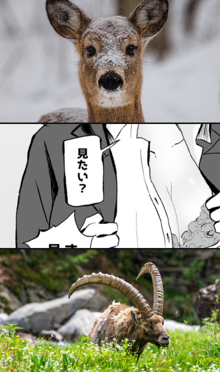 ssssdoeeeee's tweet photo. ダウナーちゃんをエッに積極的にする全記録
SFW https://t.co/DeyOBgcagv