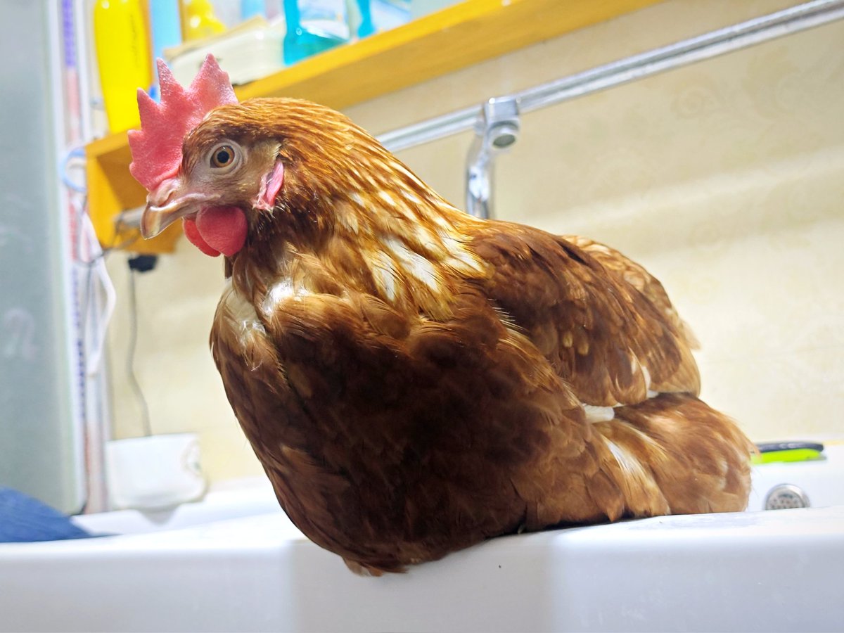 Gale Spark🔞 tweet media