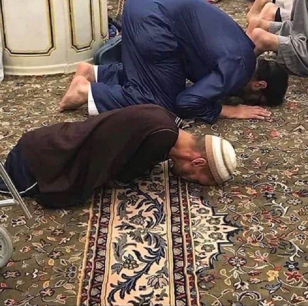 فوائد صورة ومقطع tweet media