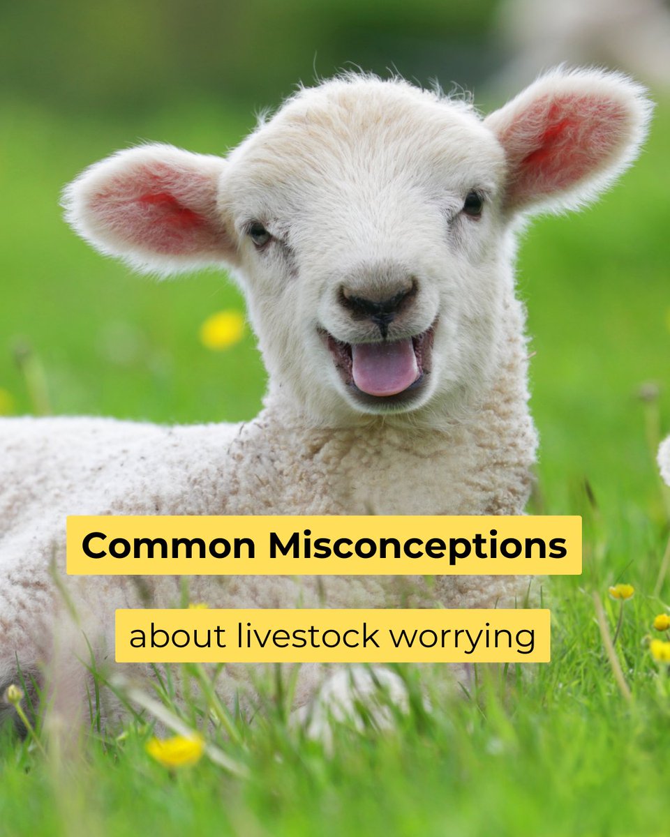 Defra UK tweet media