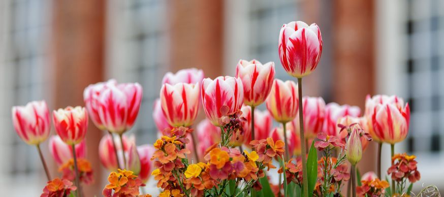 Martin Holmes tweet media