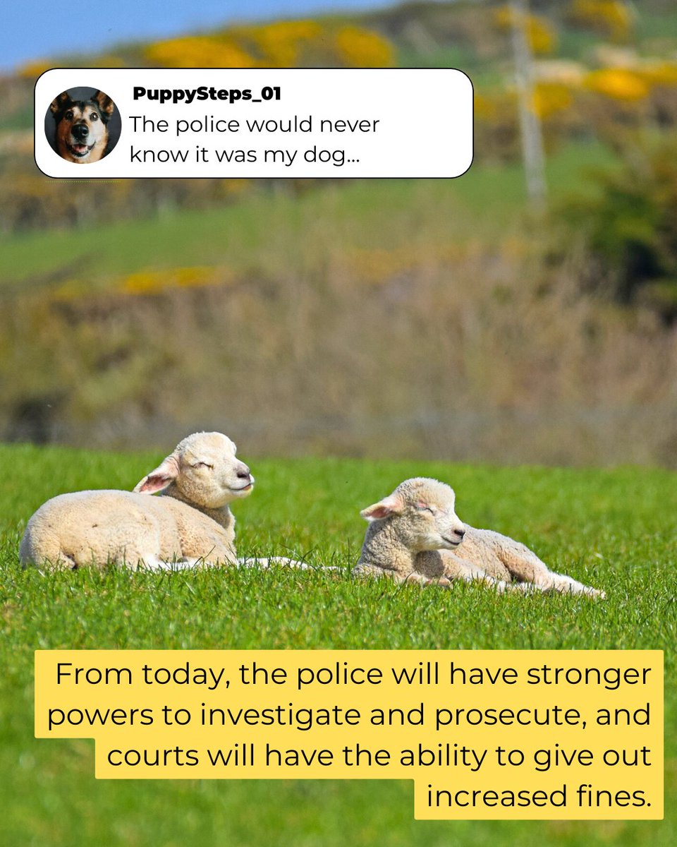 Defra UK tweet media