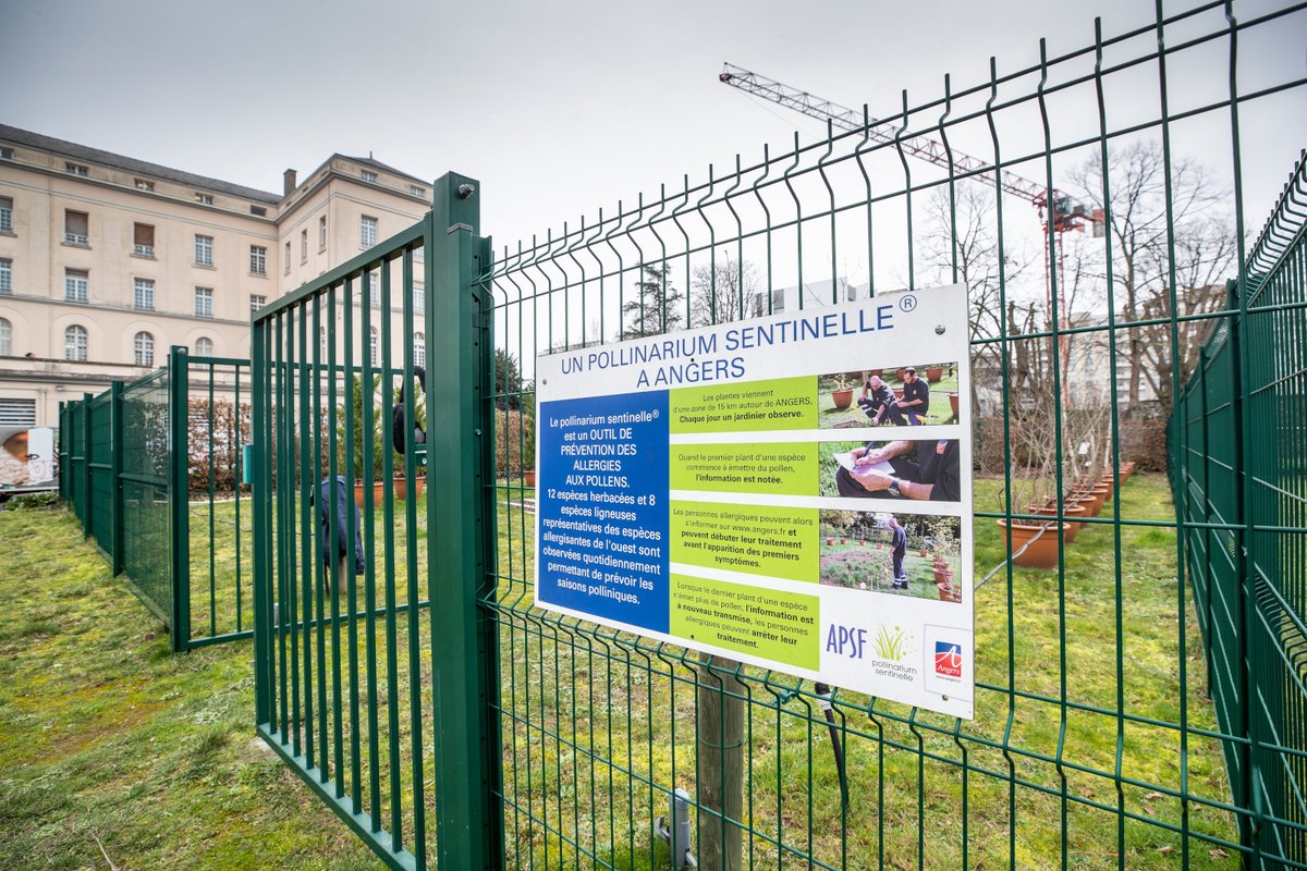 Ville d'Angers tweet media