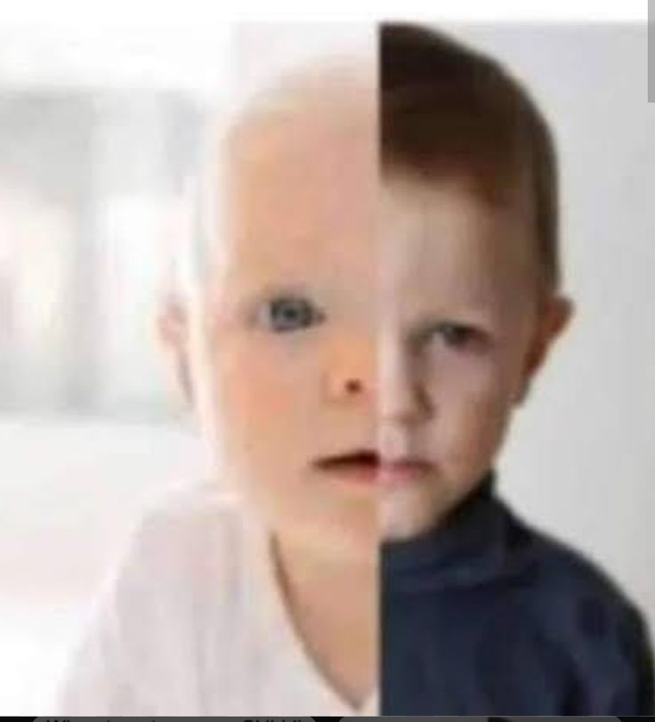 nielsito pro tweet media