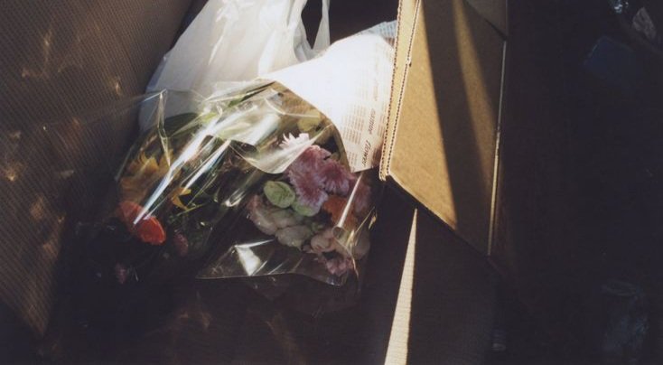 esterjoy tweet media