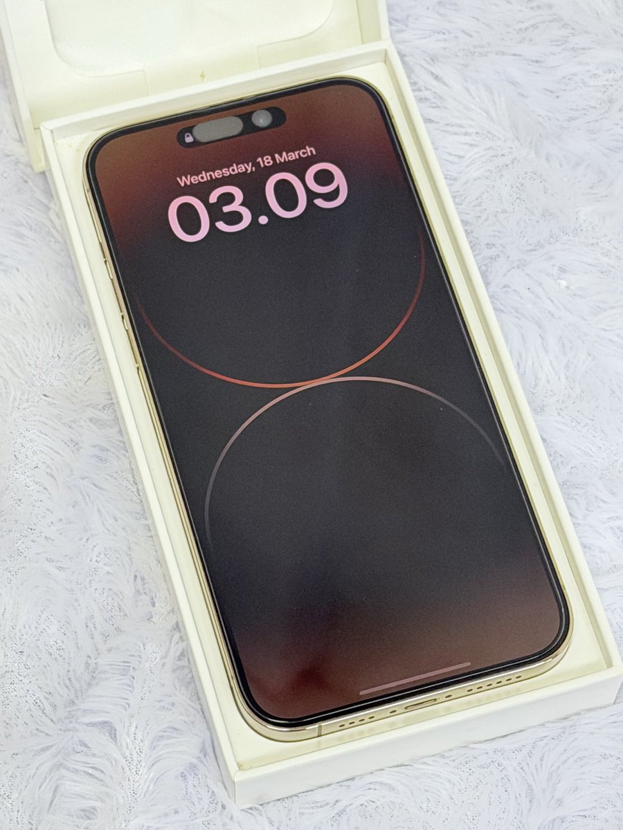 🫧🪸 tweet media