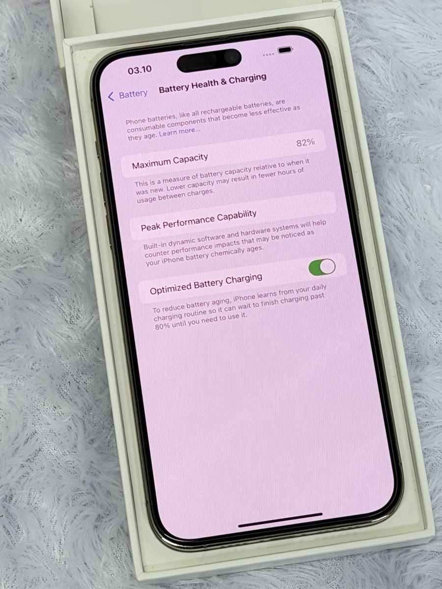 🫧🪸 tweet media