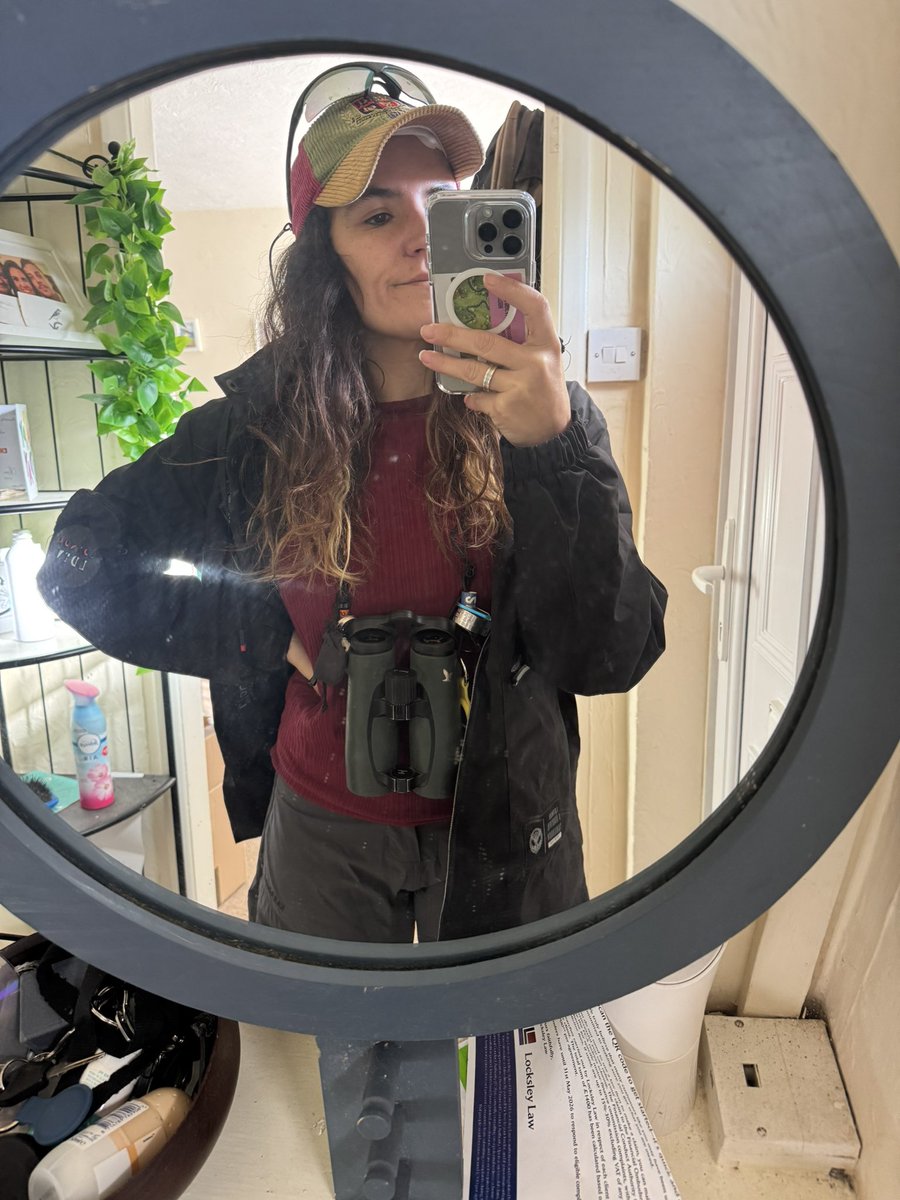 Aurora #LicencedBirdRinger tweet media