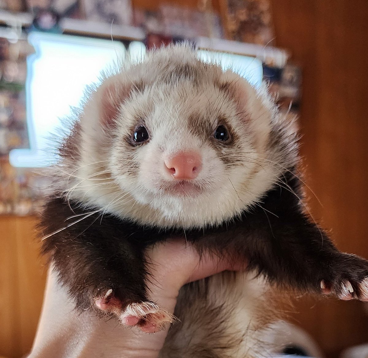 はるきち tweet media