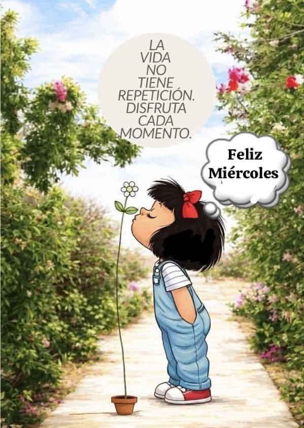 Kika🐾 tweet media