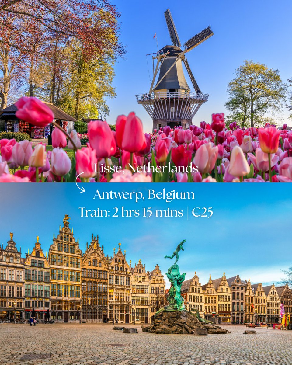 RedteaGO | eSIM World's Best Travel App tweet media