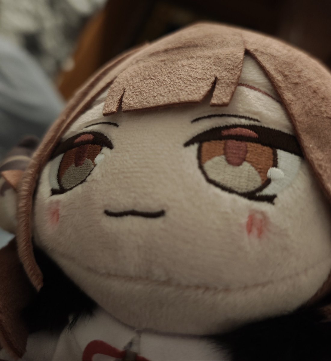 Guardia Rojo 💻 🇪🇸🇯🇵🇨🇳 tweet media