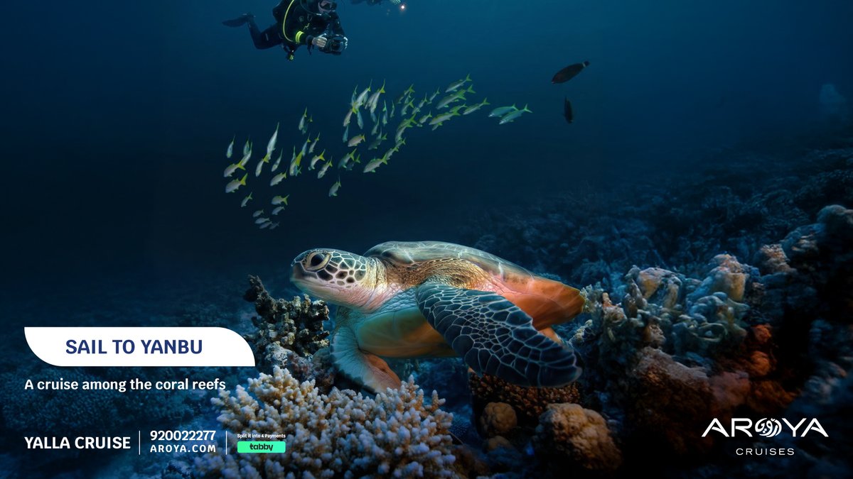 AROYA | أرويـا tweet media