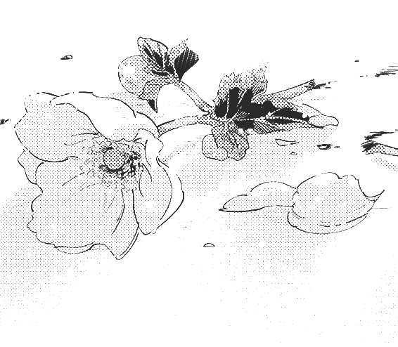 𓆩 𝓃𝑒𝓇𝒻 of shedtwt 𓆪 tweet media