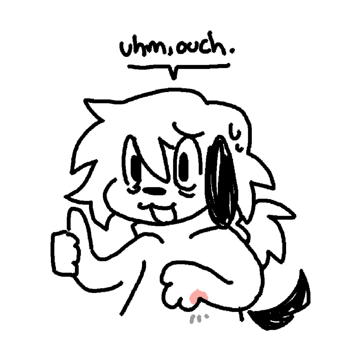 Atlas 🐾 tweet media