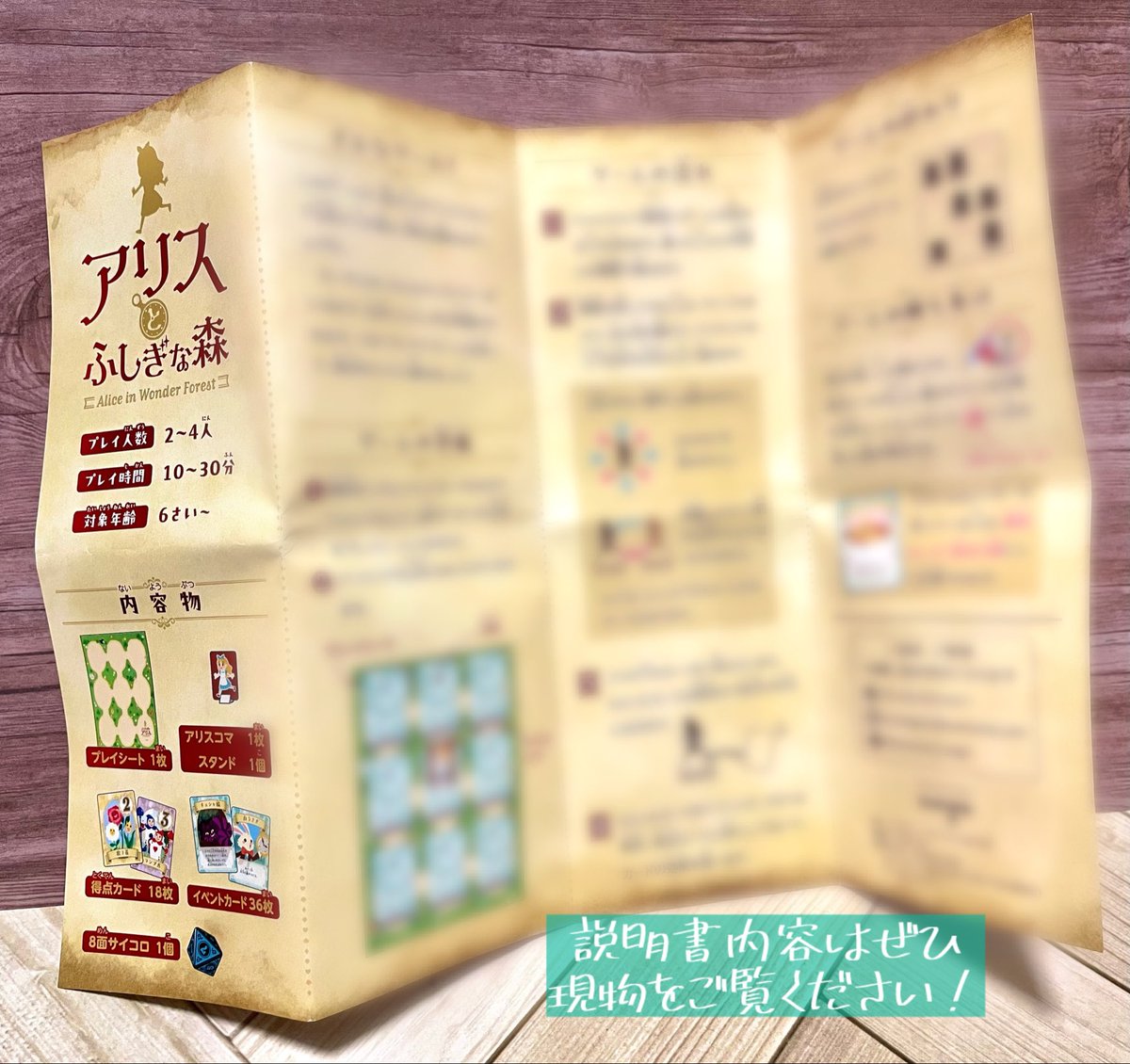 説明書は、折る位置が考慮されたデザインになっています！
ボドゲでは説明書を読むことが必須。見やすさは重要だと学びました😌

弊社デザイナーさんが、図をたくさん入れてくださったので、よりわかりやすい説明書に仕上がっています📃✨

#アリスとふしぎな森
#原案者裏話