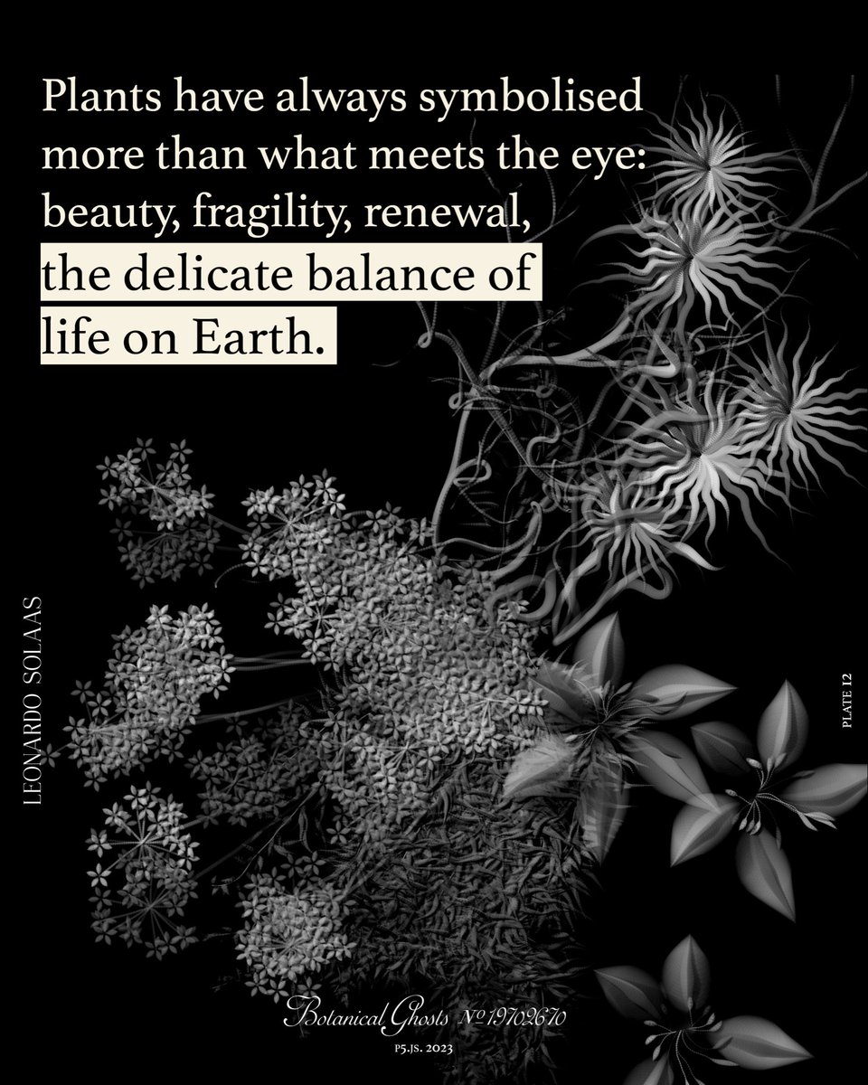 Vetro Editions tweet media