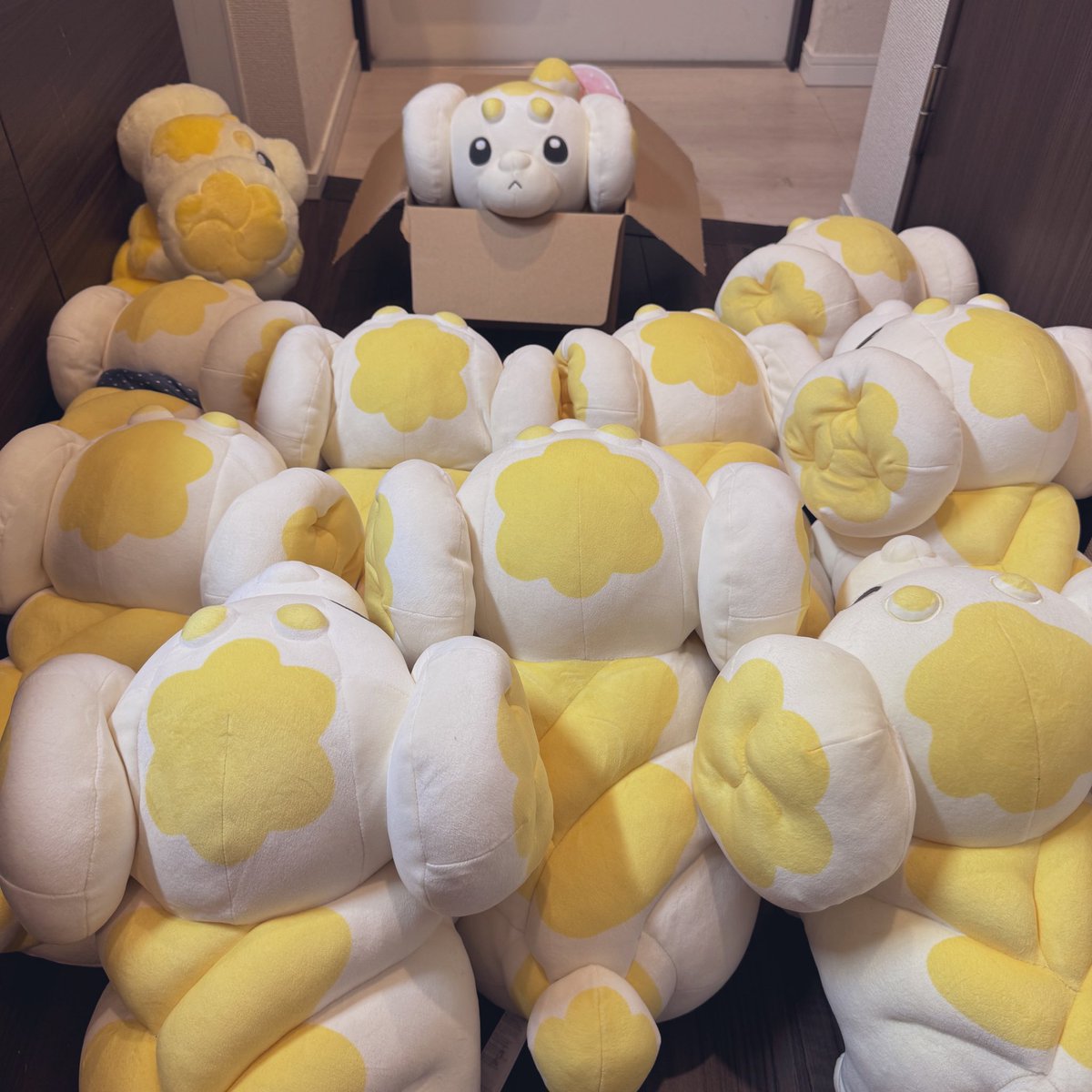 毎日もっちたち tweet media