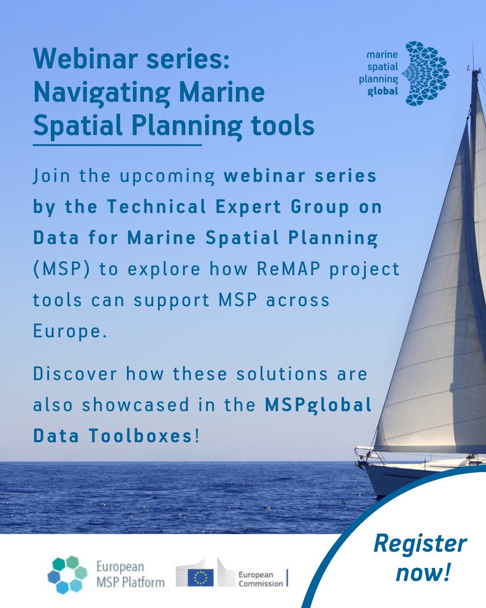 MSPglobal tweet media