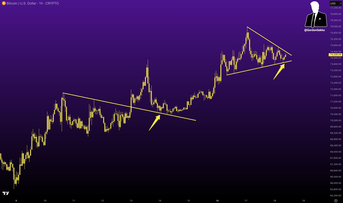 Gordon 🐂 tweet media