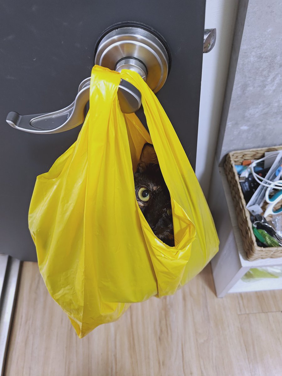 啊嗚啊嗚 tweet media