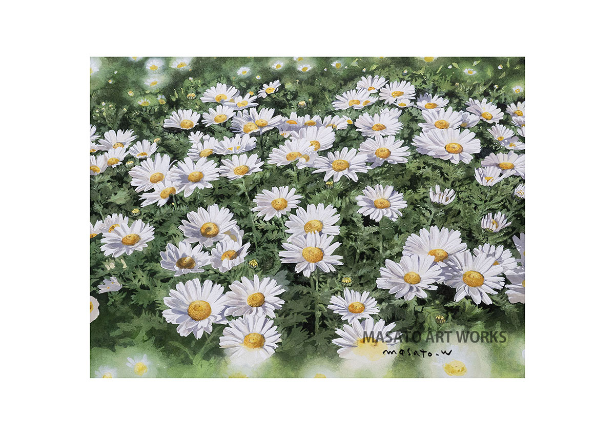 water18color's tweet image. 【水彩画プリント2作品追加しました】ノースポール・花とガラス器⚫︎水彩画と鉛筆スケッチのアートプリント販売 ⚫︎A3サイズ用紙（描画範囲A4程度）　お時間のある時にご覧いただければ幸いです。Masato Art Works　 #artprint #鉛筆スケッチ