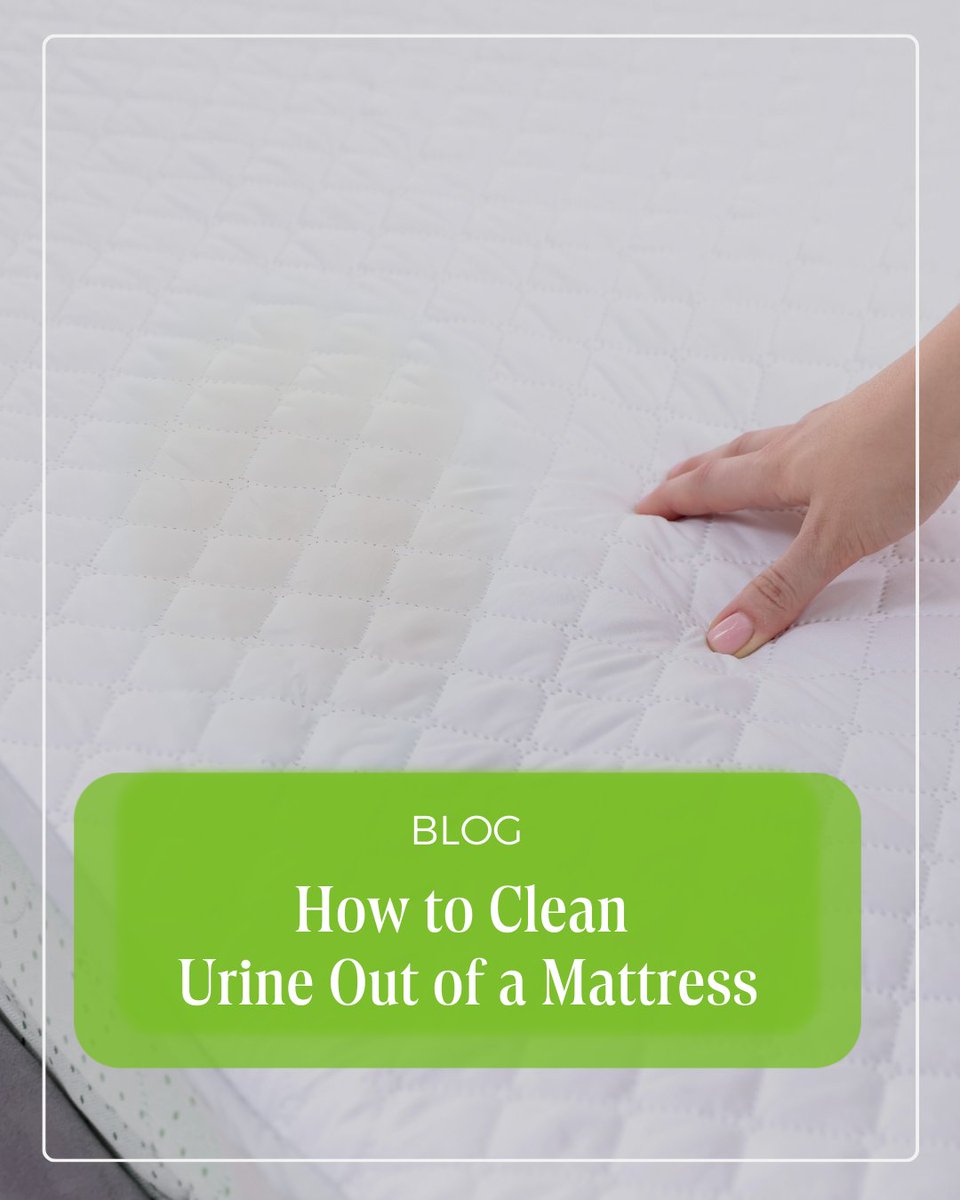 merrymaidsUK's tweet image. We've put together a useful blog post on everything you need to know to clean a urine-stained mattress in five easy steps.

merrymaids.co.uk/clean-urine-ma…

#MerryMaids #MattressCleaning #CleaningTips