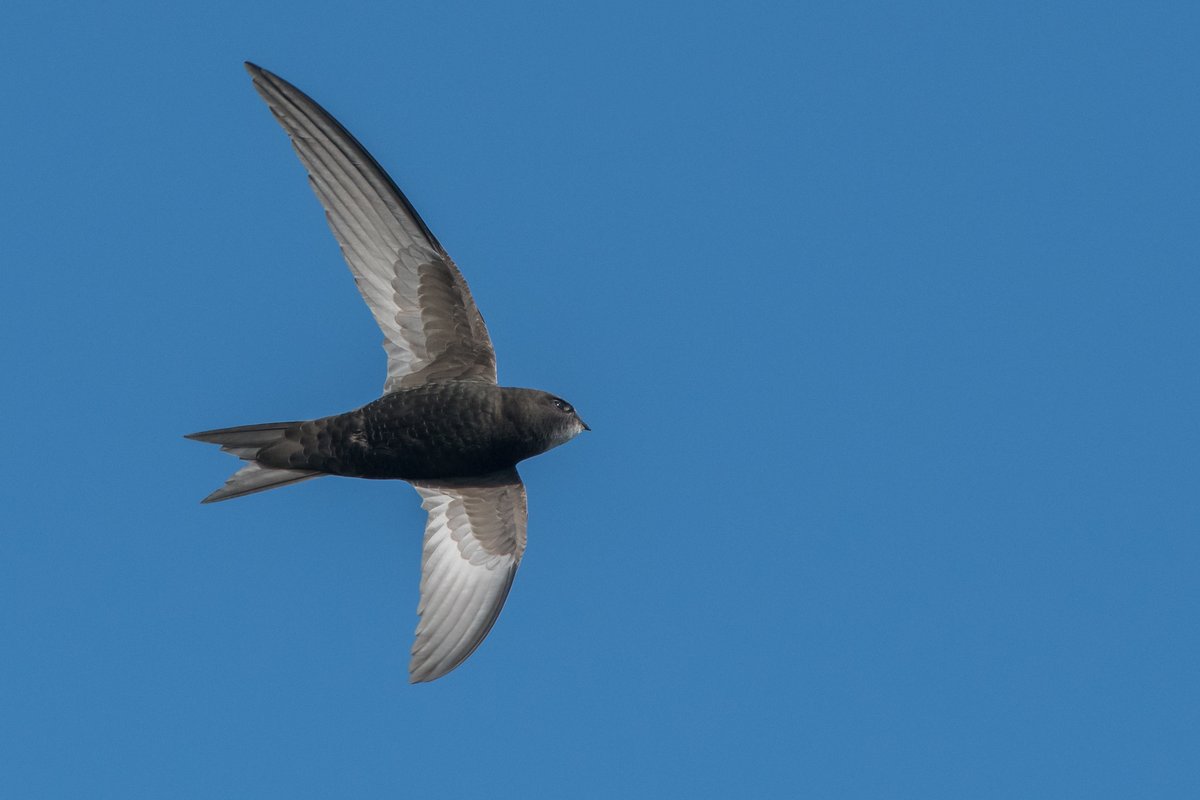 CalderCountry tweet media